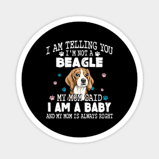I am telling you, I'm not a beagle,My mom said I am a baby Magnet